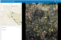 Attachment Viewer app Attachment Viewer app